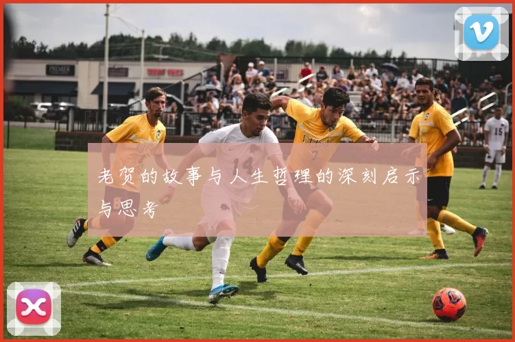 老贺的故事与人生哲理的深刻启示与思考