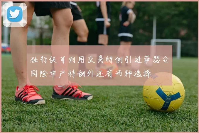 独行侠可利用交易特例引进萨瑟合同除中产特例外还有两种选择